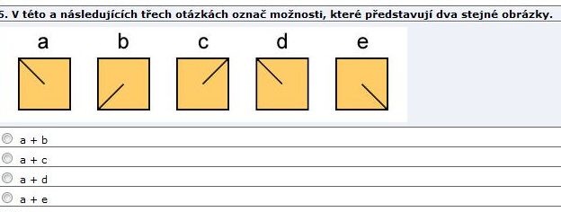 Příklad otázky z Testu schopnosti duplikace